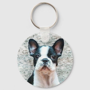 Fransk bulldoggkeychain nyckelring