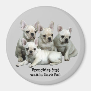 Fransk bulldoggmagnet magnet