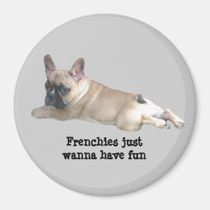 Fransk bulldoggmagnet magnet