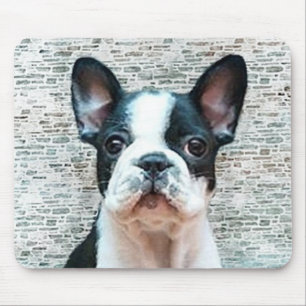 Fransk bulldoggmousepad musmatta