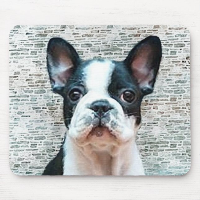 Fransk bulldoggmousepad musmatta (Framsidan)