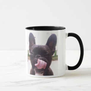 Fransk bulldoggmugg mugg