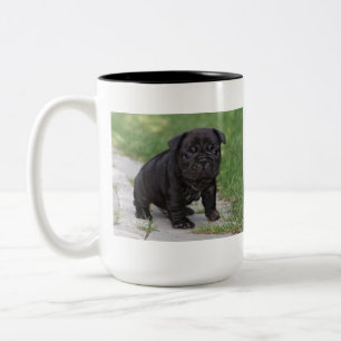 Fransk bulldoggmugg Två-Tonad mugg