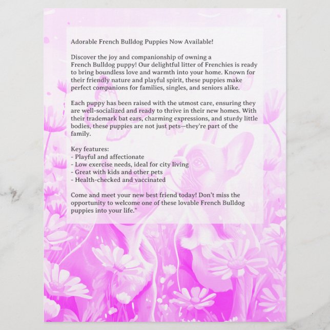 Fransk Bulldoggs Valp Flyer  (Baksidan)