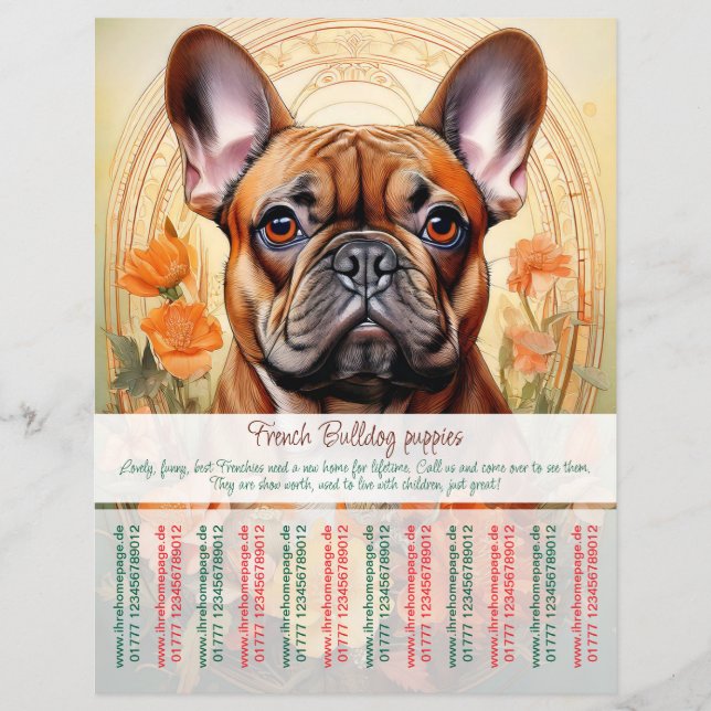 Fransk Bulldoggs Valp Flyer  (Framsidan)