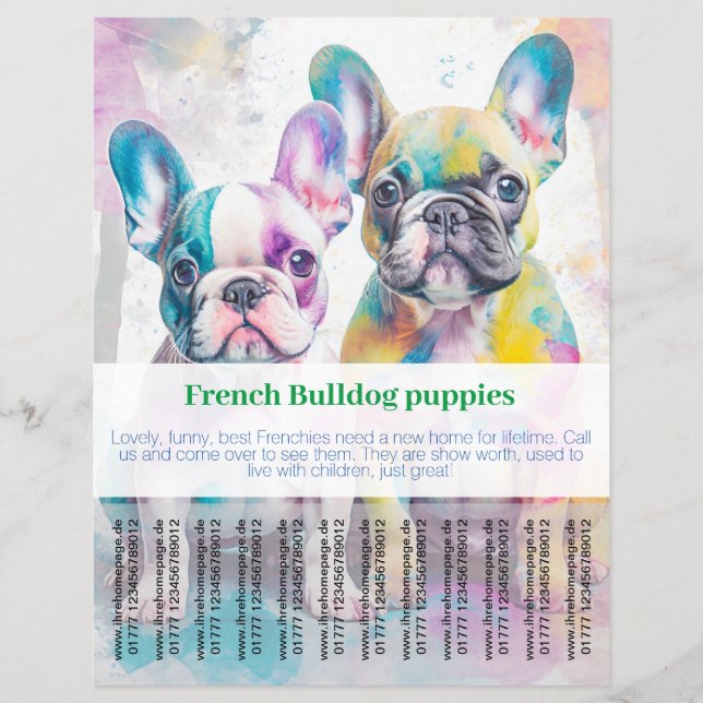 Fransk Bulldoggs Valp Flyer  (Framsidan)