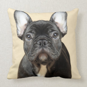 Fransk bulldoggvalp kudde