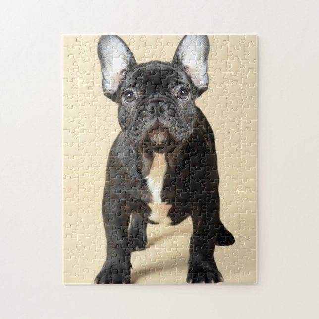 Fransk bulldoggvalp pussel (Vertikal)