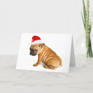 Fransk bulldoggvalp som ha på sig en jultomtenhatt helgkort