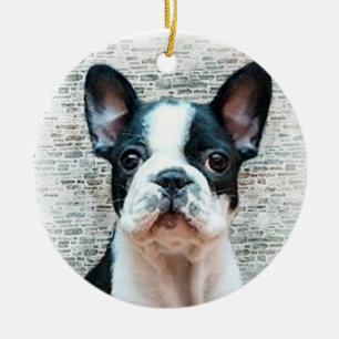 Fransk bulldoggvalpprydnad julgransprydnad keramik