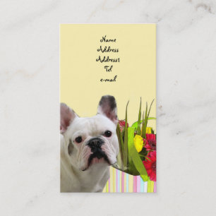 Fransk bulldoggvisitkort visitkort
