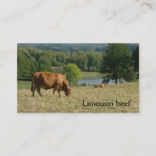 Fransk bygd med Limousin kor Visitkort