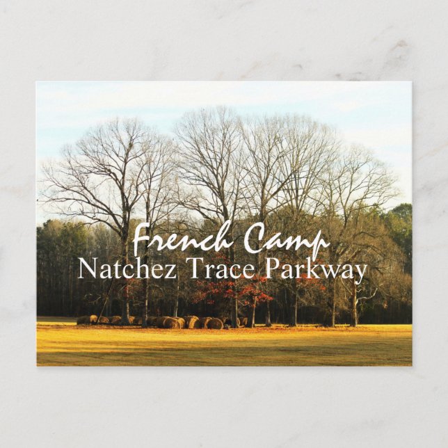 Fransk Camp - Natchez Trace Parkway-vykort Vykort (Framsida)