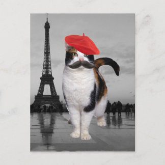 Fransk Cat i Paris Vykort