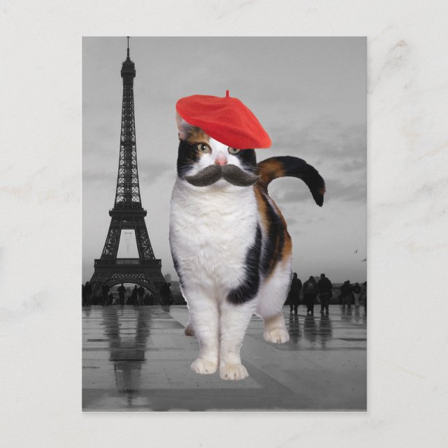 Fransk Cat i Paris Vykort (Framsida)