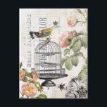 Fransk fågelvykort för vintage vykort<br><div class="desc">Fransk fågelvykort för vintage</div>