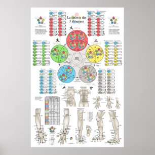 Fransk fem elementen akupunktur poster
