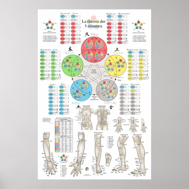 Fransk fem elementen akupunktur poster (Framsidan)