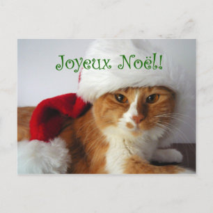 Fransk hälsningkatt i Santa hattvykort Helg Vykort