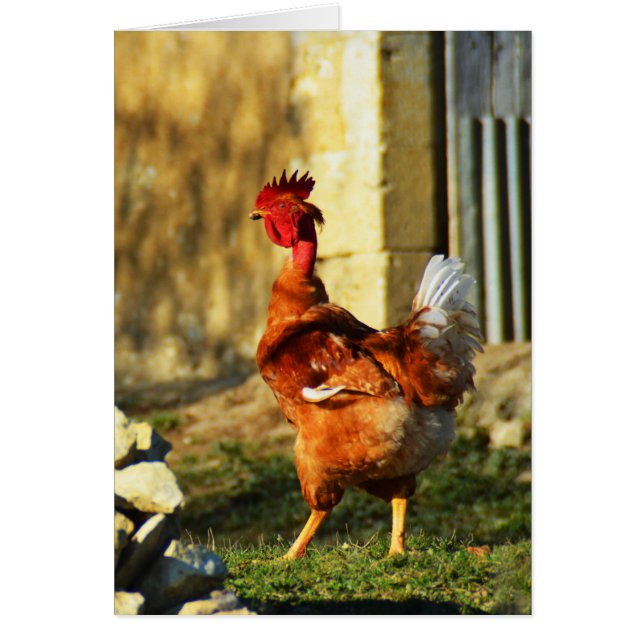 Fransk Hälsningskort (Framsidan)