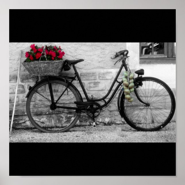 Fransk Hjul och lök Poster (Framsidan)