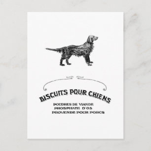 Fransk Hund, Antique Hund Biscuit Ad mot mode Vykort