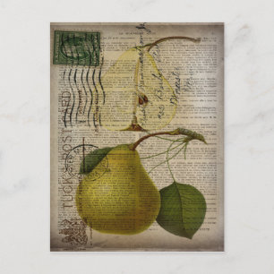 fransk land botaniskt illustrationspäron av vintag vykort