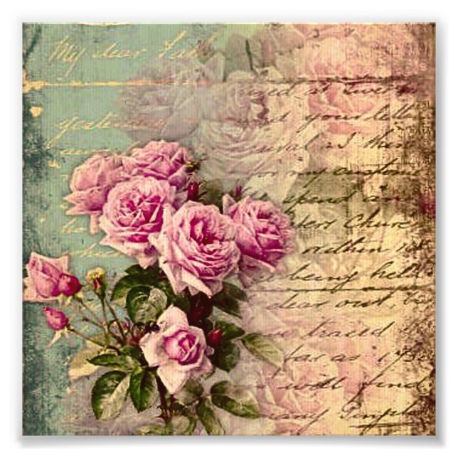 Fransk land chic,shabby chic, rosa ros, flora, fototryck (Framsidan)