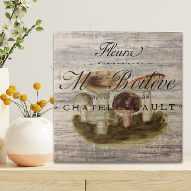 fransk land Rustic sagites vodlandsvamp Kakelplatta (french country rustic fairytale woodland mushroom ceramic tile)
