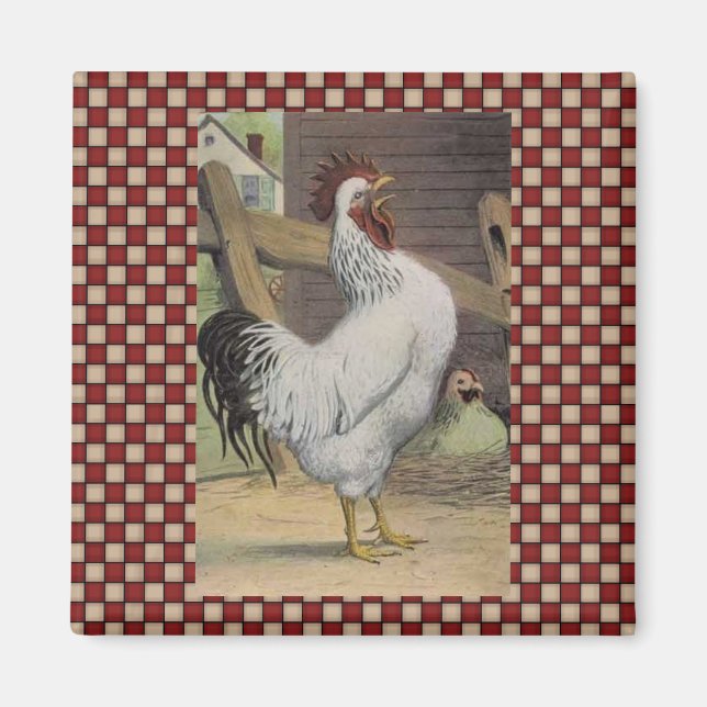 Fransk Land Tupp Hen Fridge Magnet (Framsidan)