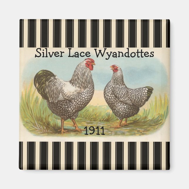 Fransk Land Tupp Hen Poultry Fridge Magnet (Framsidan)