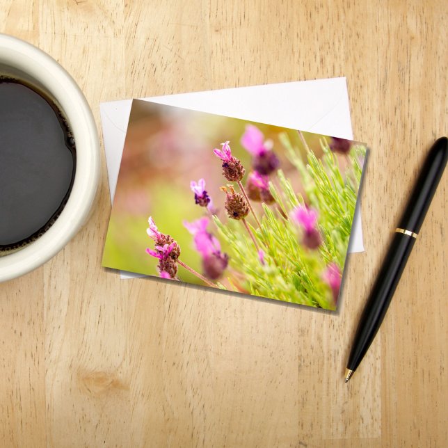 Fransk Lavender Flowers Note-kort Anteckningskort (Skapare uppladdad)