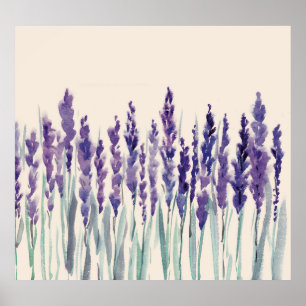 Fransk Lavender: Watercolor Illustration Poster
