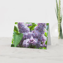 Fransk Lilac Hämta källkortsmall Kort