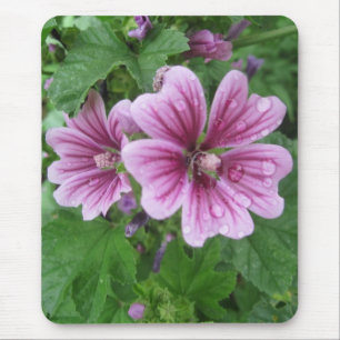 Fransk Mallow Photo Mousepad Musmatta