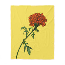 Fransk Marigold Flower Bläck Teckning