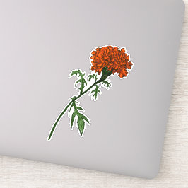 Fransk Marigold Flower Bläck Teckning Klistermärken