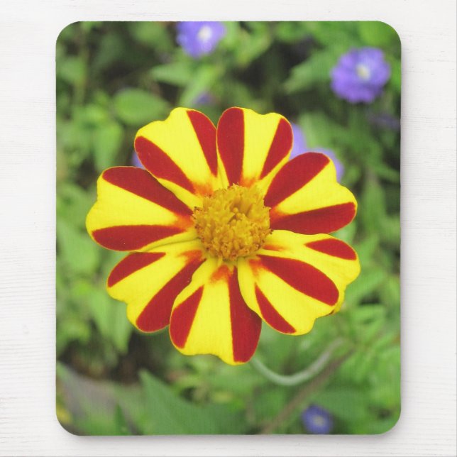 Fransk Marigold Photo Mousepad Musmatta (Framsidan)