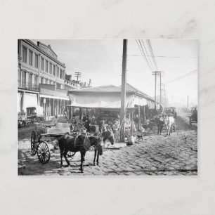 Fransk Market in New Orleans, 1906 Vykort