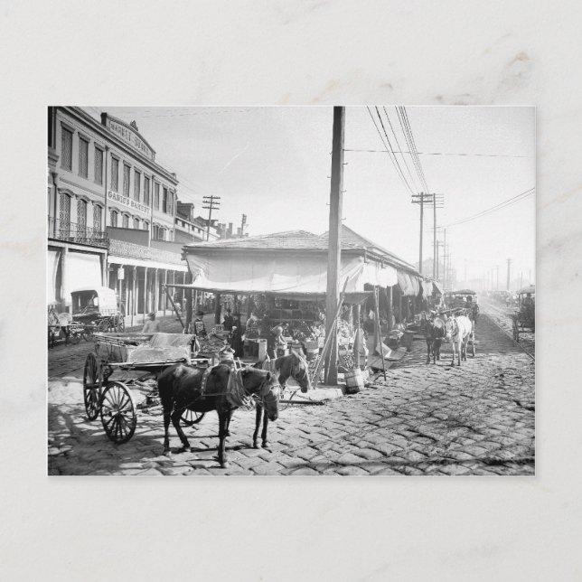 Fransk Market in New Orleans, 1906 Vykort (Framsida)