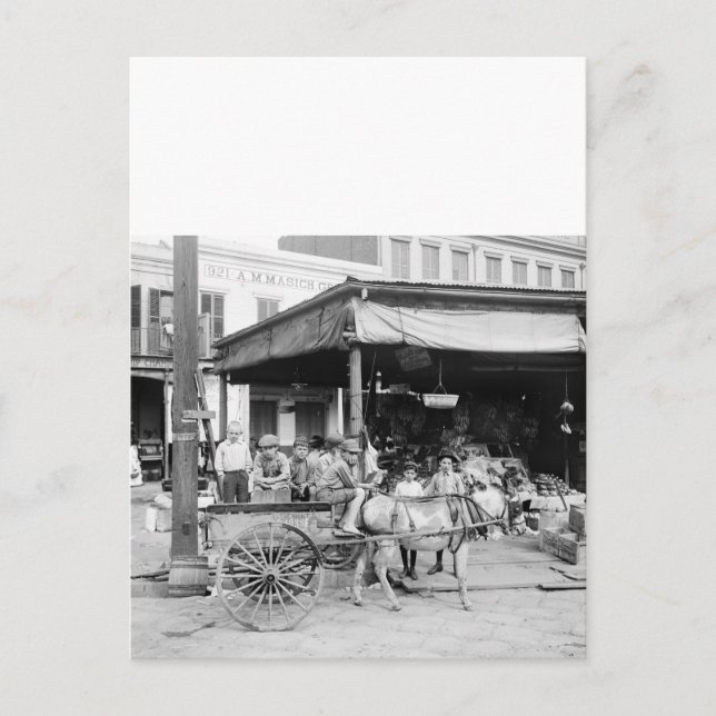 Fransk Market, New Orleans, 1910 Vykort (Framsida)