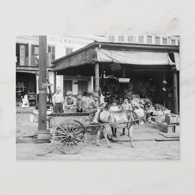 Fransk Market, New Orleans, 1910 Vykort (Framsida)