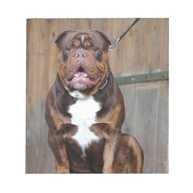 Fransk Mastiff Anteckningsblock (Framsida)