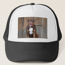 Fransk Mastiff Keps