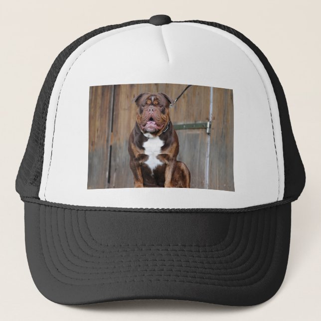 Fransk Mastiff Keps (Framsida)