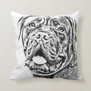 Fransk Mastiff Kudde