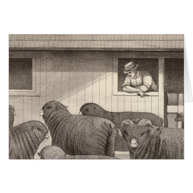 Fransk merino-får hälsningskort (Framsidan Horizontal)