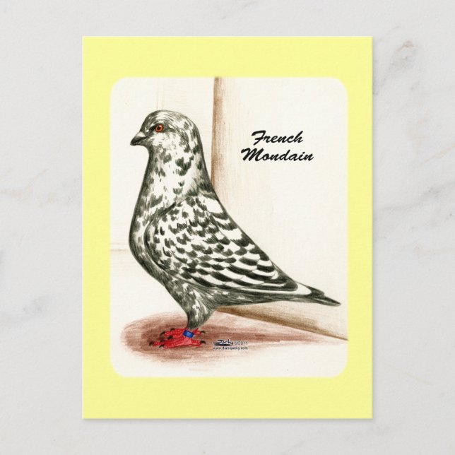 Fransk Mondain 1973 Vykort (Framsida)