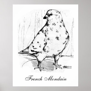 Fransk Mondain Pigeon 1978 Poster