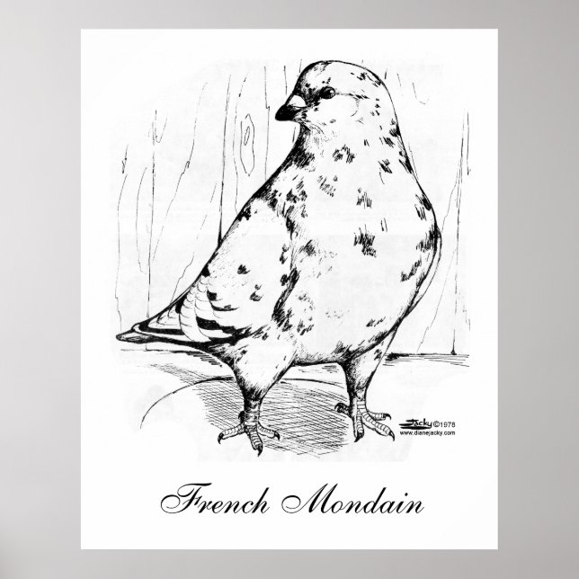 Fransk Mondain Pigeon 1978 Poster (Framsidan)